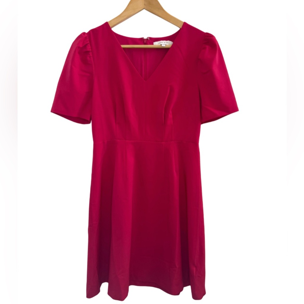 Lark & Ro Pink Puff Sleeve Dress Womens 4 Fit & Flare A-Line Cocktail Party Mini